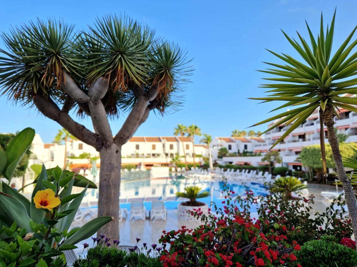 El Corazon De Las Americas Playa de las Americas (Tenerife) Exterior foto
